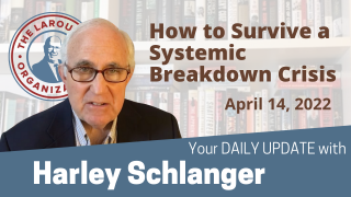 Harley Schlanger -- How to Survive a Systemic Breakdown Crisis