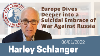 Harley Schlanger Update