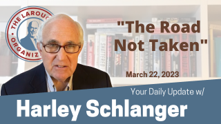 Harley Schlanger Update