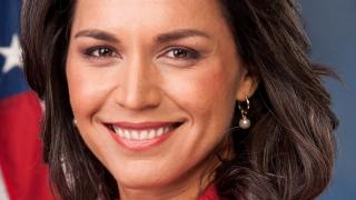tulsi gabbard