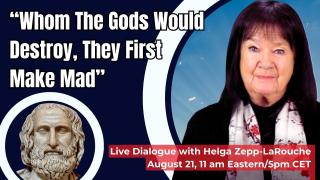 Webcast: “Whom The Gods Would Destroy, They First Make Mad”