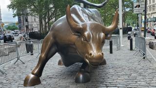 Wall Street Bull