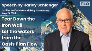 Tear Down the Iron Wall, Let the waters from the Oasis Plan Flow